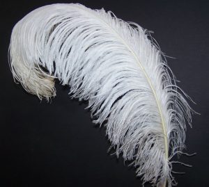 plumas de avestruz para la decoración