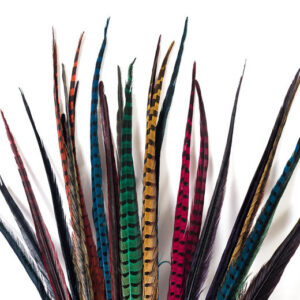 plumas de faisán para decoración, carnavales, vestido