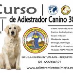 Curso de Adiestrador Canino Profesional - Roquetas de Mar