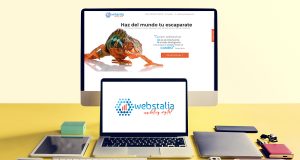 Diseño Web Profesional | eCommerce