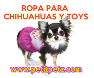 Vestido tropical para perros yorky chihuahuas pomeranias cachorros tienda online