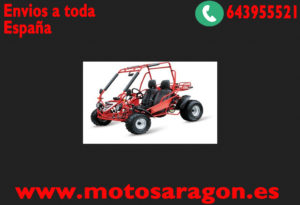 buggy maxi 200cc Automático  cvt 4t R10 automatico