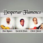 Grupos de flamenco - 