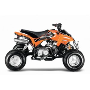 GRIZZLY 125cc RS R8 autom