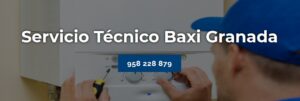 Servicio Técnico Baxi Granada 958210644