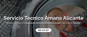 Servicio Técnico Amana Alicante 965217105