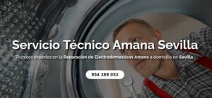Servicio Técnico Amana Sevilla 954341171