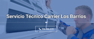Servicio Técnico Carrier Los Barrios 956 271 864