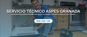 Servicio Técnico Aspes Granada 958210644