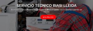 Servicio Técnico Biasi Lleida 973194055