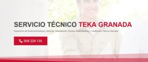 Servicio Técnico Teka Granada 958210644
