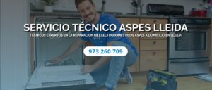 Servicio Técnico Aspes Lleida 973194055