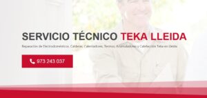 Servicio Técnico Teka Lleida 973194055