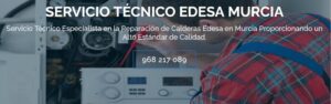 Servicio Técnico Edesa Murcia 968217089