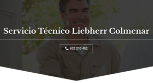 Servicio Tecnico Liebherr Colmenar 952210452