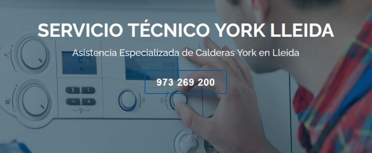 N1 (#ID:36972-36971-medium_large)  Servicio Técnico York Lleida 973194055 de la categoria Electrodomésticos y que se encuentra en Lérida, Unspecified, 1, con identificador unico - Resumen de imagenes, fotos, fotografias, fotogramas y medios visuales correspondientes al anuncio clasificado como #ID:36972