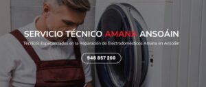 Servicio Técnico Amana Ansoáin 948262613