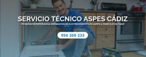 Servicio Técnico Aspes Cadiz 956271864