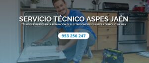 Servicio Técnico Aspes Jaén 953274259