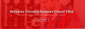 Servicio Técnico Saunier Duval Olot 972396313