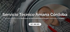 Servicio Técnico Amana Córdoba 957487014