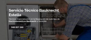 Servicio Técnico Bauknecht Estella 948262613