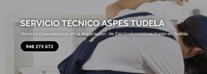 Servicio Técnico Aspes Tudela 948262613