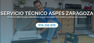Servicio Técnico Aspes Zaragoza 976553844