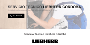 Servicio Técnico Liebherr Córdoba 957487014