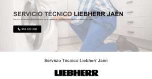 Servicio Técnico Liebherr Jaén 953287259