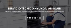 Servicio Técnico Hyundai Ansoáin 948262613