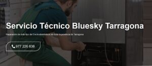 Servicio Técnico Bluesky Tarragona  977208381
