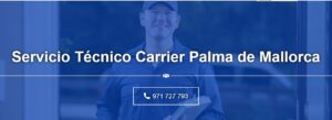 Servicio Técnico Carrier Palma de Mallorca 971727793