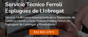 Servicio Técnico Ferroli Esplugues de Llobregat 934242687