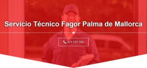 Servicio Técnico Fagor Palma de Mallorca 971727793