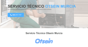 Servicio Técnico Otsein Murcia 968217089
