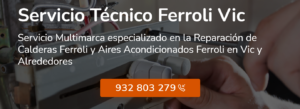 Servicio Técnico Ferroli Vic 934242687