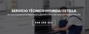 Servicio Técnico Hyundai Estella 948262613