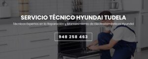 Servicio Técnico Hyundai Tudela 948262613