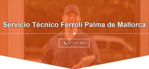 Servicio Técnico Ferroli Palma de Mallorca 971727793