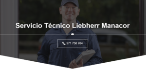 Servicio Técnico Liebherr Manacor 971727793