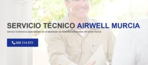 Servicio Técnico Airwell Murcia 968217089