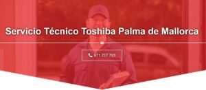 Servicio Técnico Toshiba Palma de Mallorca 971727793