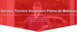 Servicio Técnico Viessmann Palma de Mallorca 971727793