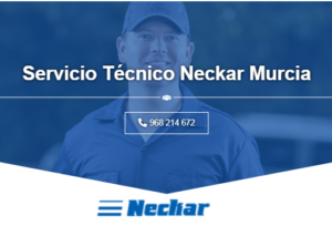 Servicio Técnico Neckar Murcia 968217089