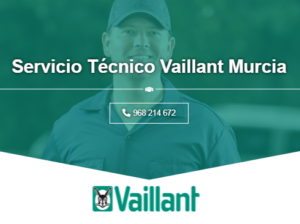Servicio Técnico Vaillant Murcia 968217089