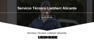 Servicio Técnico Liebherr Alicante 965217105