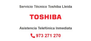 Servicio Técnico Toshiba Lleida 973194055