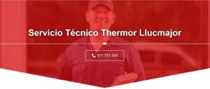 Servicio Técnico Thermor Llucmajor 971727793