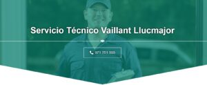 Servicio Técnico Vaillant Llucmajor 971727793